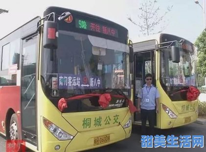 关于晋州公交车查询的信息